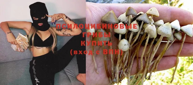 Галлюциногенные грибы GOLDEN TEACHER  хочу наркоту  Краснокаменск 