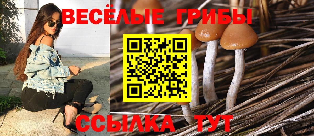 Галлюциногенные грибы GOLDEN TEACHER Краснокаменск