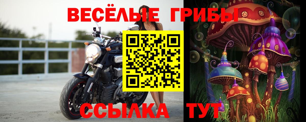 Краснокаменск  Псилоцибиновые грибы мухоморы  Вход с VPN 