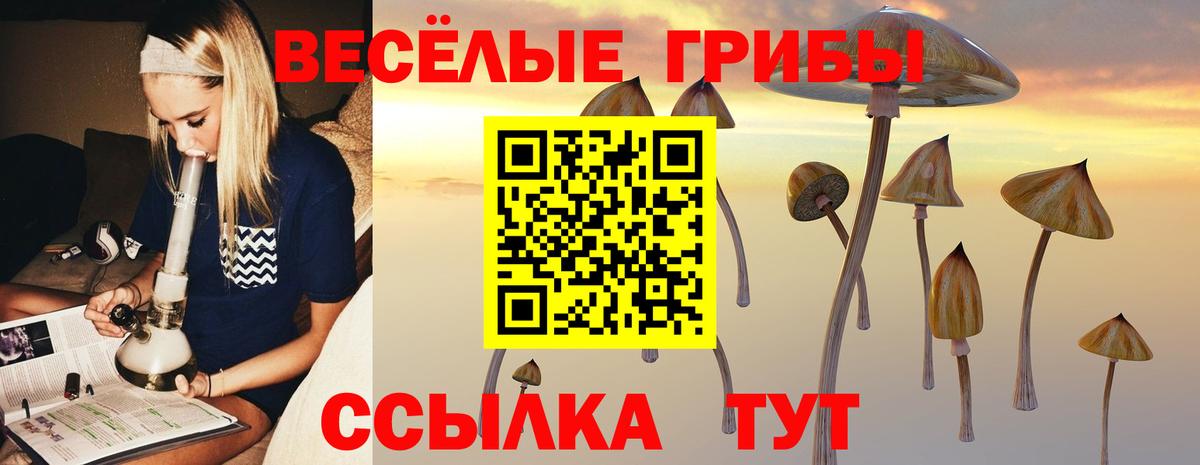 наркошоп  Краснокаменск  Галлюциногенные грибы Cubensis 